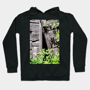 Old abandoned  shed doors being taken over by nature - Yorkshire, UK Hoodie